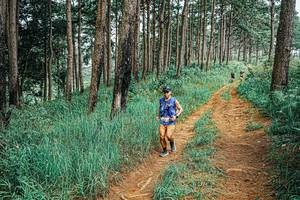 BIB: 
                            <button type="button" onclick="openModal(25679316)" class="btn btn-primary btn-sm float-right btn-popup" data-toggle="modal" data-target=".modal-high-quality">
                        <i class="fas fa-shopping-cart"></i> Add to Cart
                    </button>
                                            <button type="button" onclick="isThisMe(25679316, true)" class="btn btn-success btn-sm float-right btn-popup btn-isme hidden" data-toggle="tooltip" data-placement="bottom" title="นี่คือรูปของคุณใช่ไหม คลิกที่นี่เพื่อเอาเข้าอัลบั้ม">
                        <i class="fas fa-plus"></i> Add to album
                    </button>
                    <button type="button" onclick="isThisMe(25679316, false)" class="btn btn-warning btn-sm float-right btn-popup btn-isnotme hidden">
                        <i class="fas fa-ban"></i> Remove from album
                    </button>